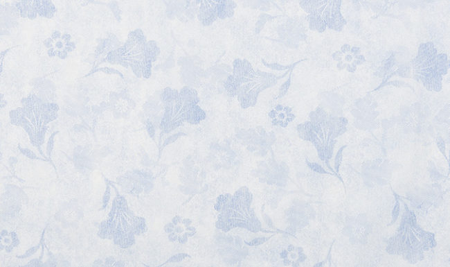 Flizelina bez kleju 80 g Wzór 1