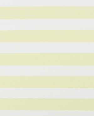 Morgan Jersey Żółte Pasy