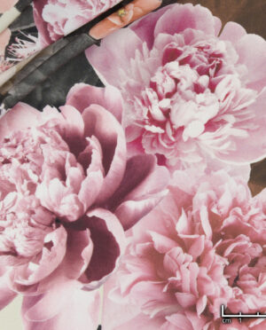 Silki Wzór 219 - skala