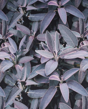 Feda Tkanina Wiskozowa Sukienkowa Diagonal Wzór 1